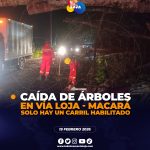 Vía Loja – Macará registró caída de árboles, que obstaculizan parcialmente la calzada.