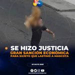 Más de USD 5 mil de multa por maltrato animal en Quito