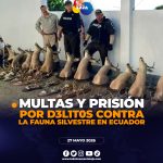 Delitos contra la fauna silvestre en Ecuador: sanciones y penas por maltrato y tráfico ilegal