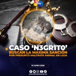 Buscan la máxima sanción por presunto maltrato animal en Loja.