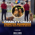 Héroes de cuatro patas: Charly y Chazz se jubilan tras una década salvando vidas.