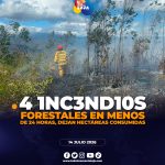¡Cuatro incendios forestales movilizaron a los equipos de emergencia en Loja, Chimborazo y Tungurahua!