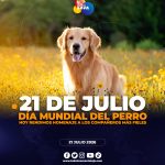 Día mundial del perro, se celebra cada 21 de julio.