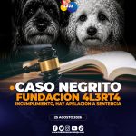 Caso negrito, causa revuelo nuevamente en Loja