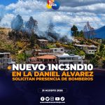Incendio forestal en sector Daniel Álvarez en Loja.