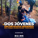 ¡Intervención preventiva en el Parque Colinar Pucará – Podocarpus!