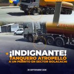 Atropellan a un perrito en Loja