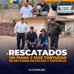 Rescatana ejemplares silvestresen Zapotillo y Paltas